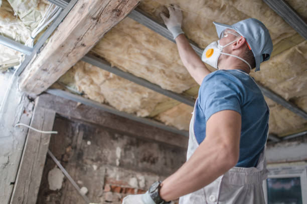 Best Geographic-Specific Insulation Services in Baileyton, AL