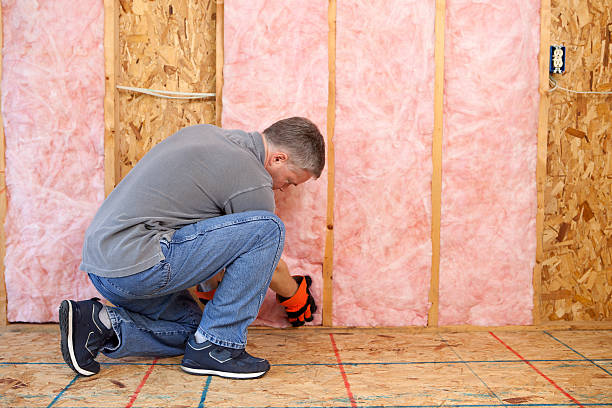 Best Specialized Insulation Services in Baileyton, AL