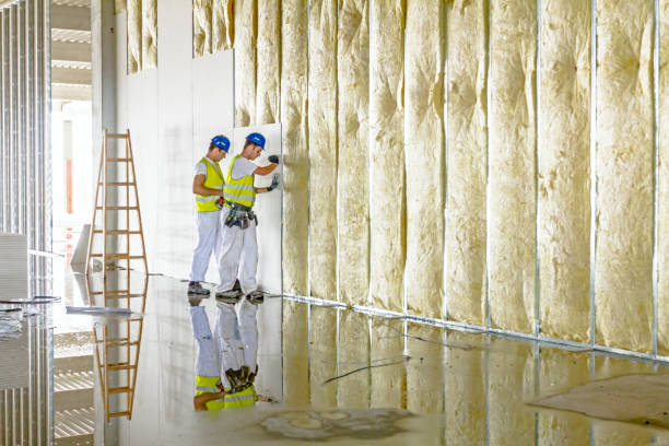 Best Spray Foam Insulation in Baileyton, AL